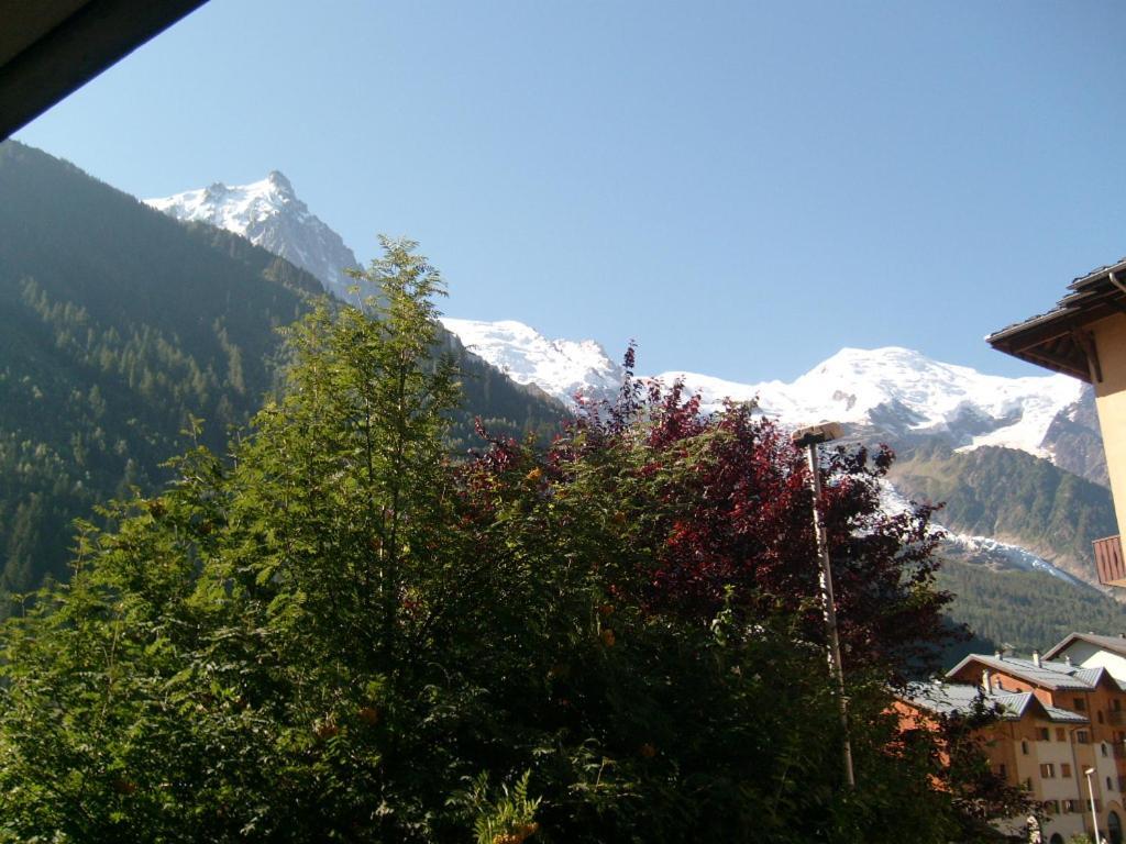 Appartement T2 Chamonix Centre Balcon Vue Mont Blanc Eksteriør bilde